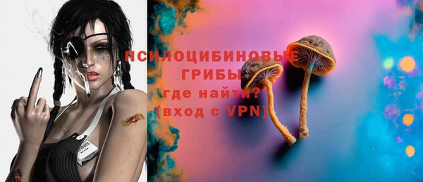 шишки Абдулино