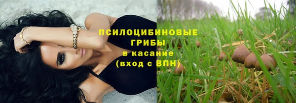 шишки Абдулино