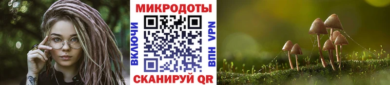 Псилоцибиновые грибы прущие грибы  кракен зеркало  Нерчинск 